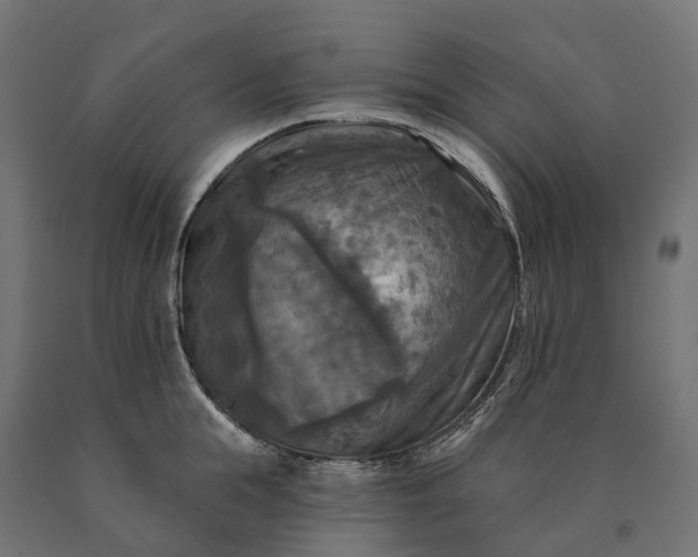 X0000090770855200708031651