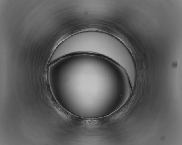 X0000090770858200708031651