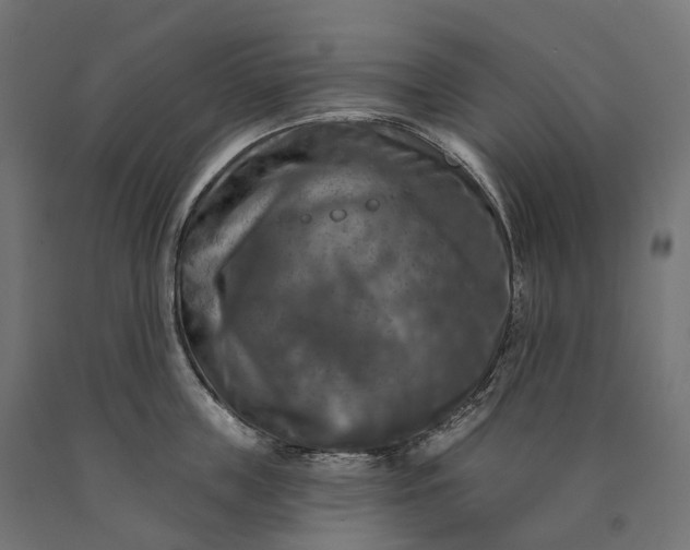 X0000090770859200708031651