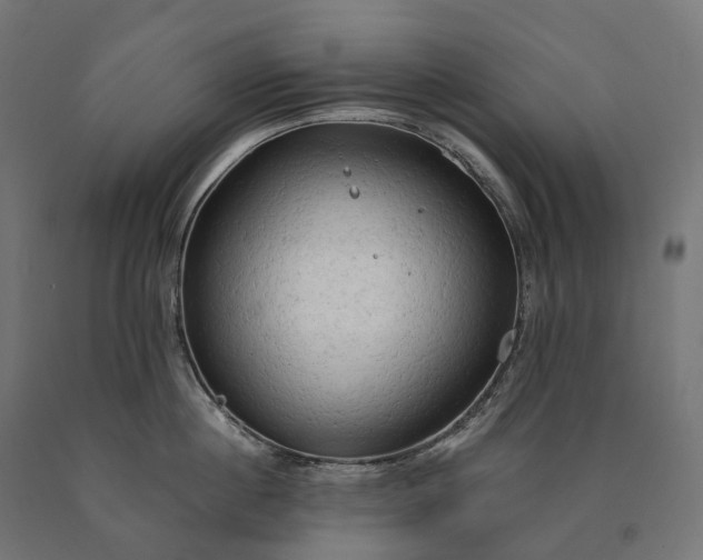 X0000090770860200708031651