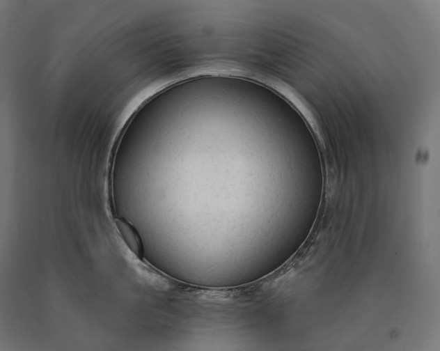 X0000090770861200708031651
