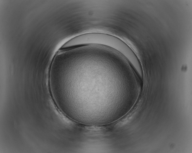 X0000090770862200708031651