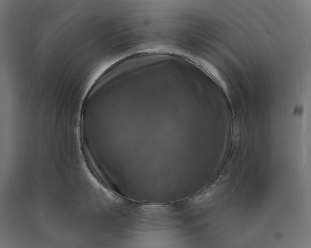 X0000090770863200708031651
