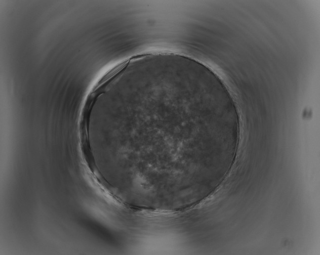 X0000090770864200708031651