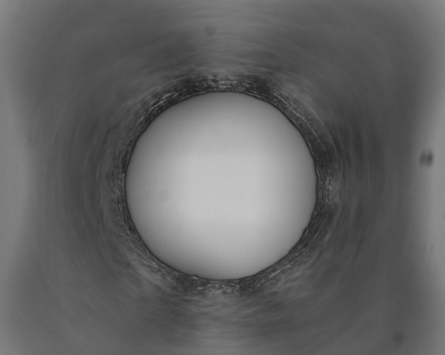 X0000090770865200708031650