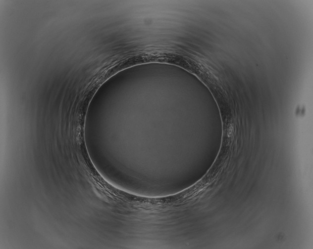 X0000090770868200708031650