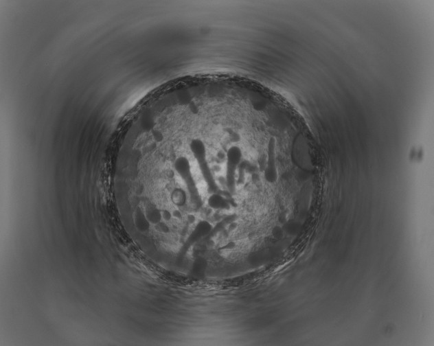 X0000090770871200708031650