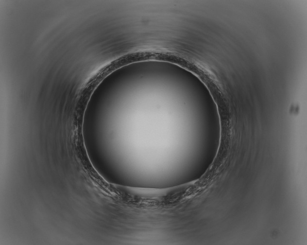 X0000090770872200708031650