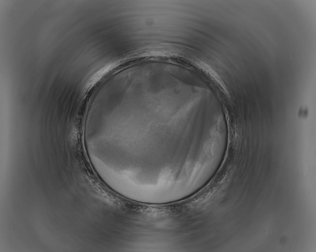 X0000090770874200708031650