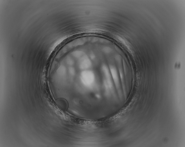 X0000090770875200708031650
