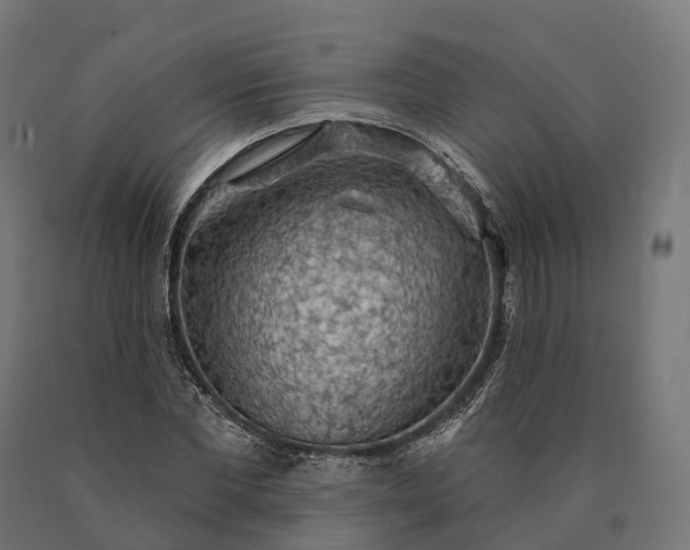 X0000090770877200708031650