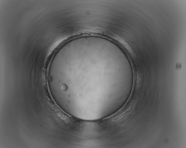 X0000090770878200708031650