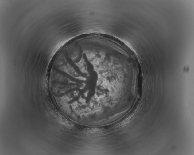 X0000090770879200708031650