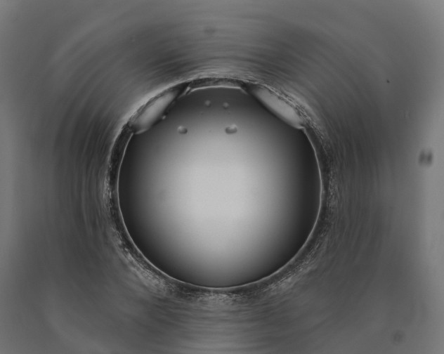 X0000090770880200708031650