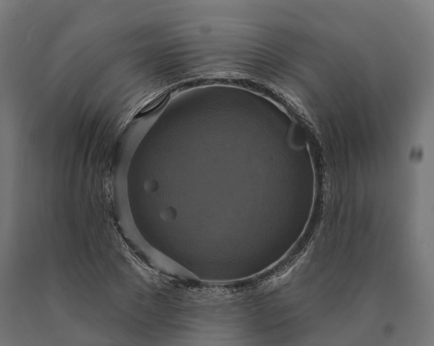 X0000090770881200708031650