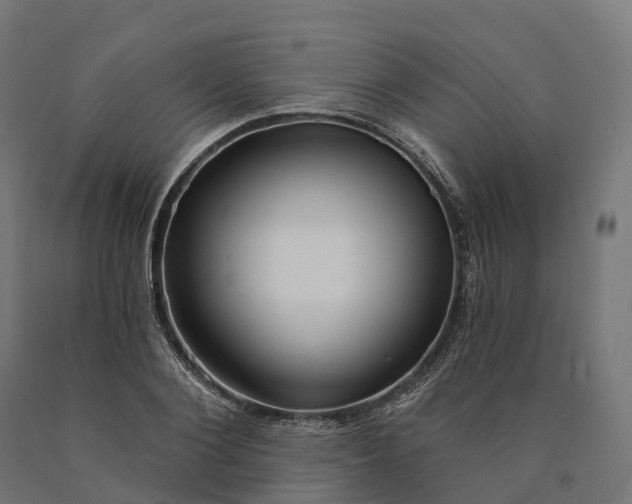 X0000090770884200708031650