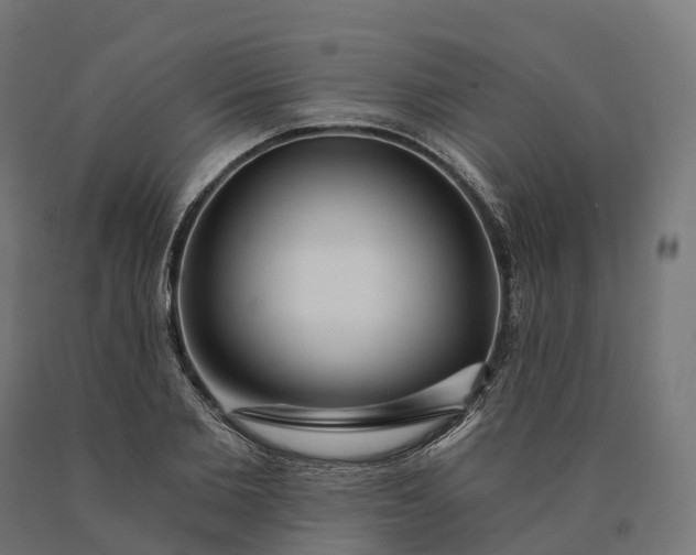 X0000090770885200708031650