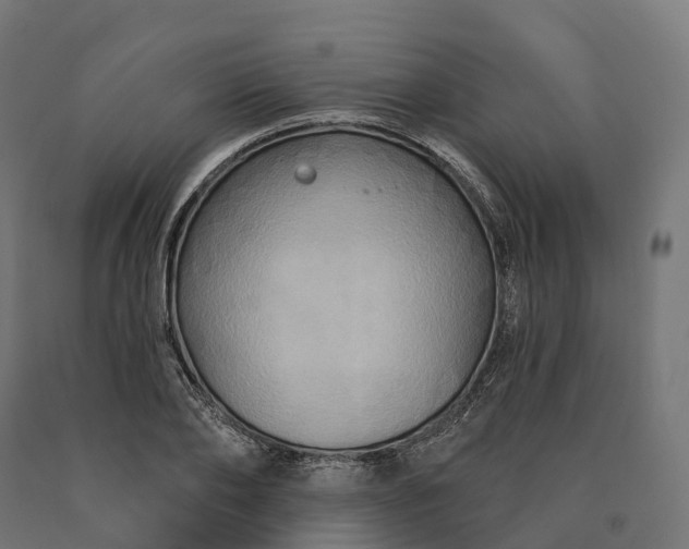 X0000090770886200708031650