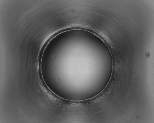 X0000090770888200708031650