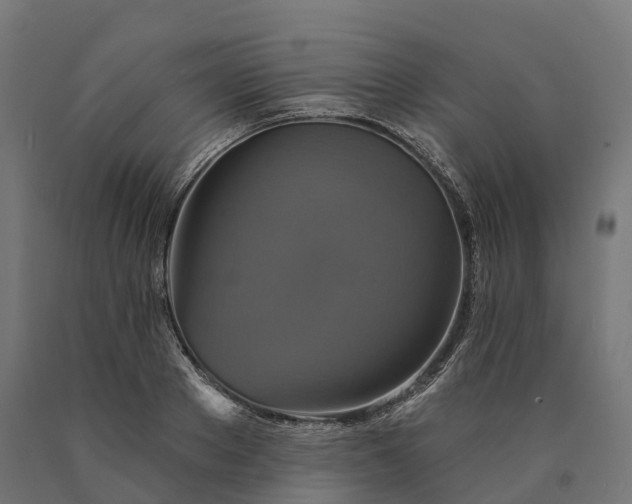 X0000090770889200708031650