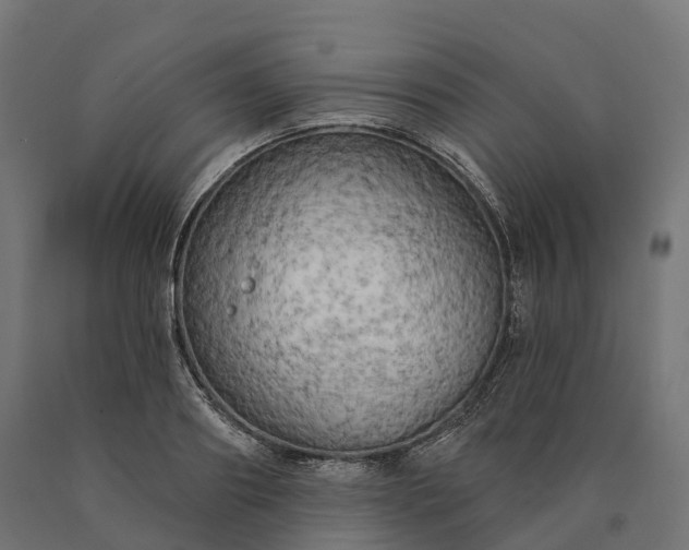 X0000090770890200708031650