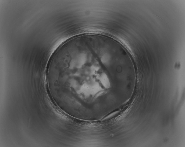 X0000090770891200708031650