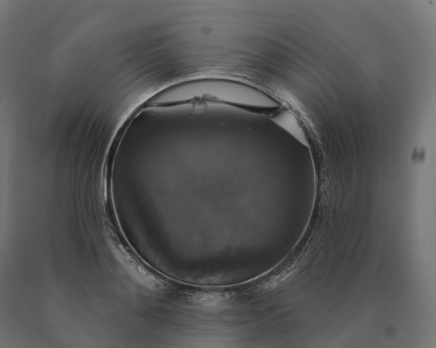 X0000090770892200708031650