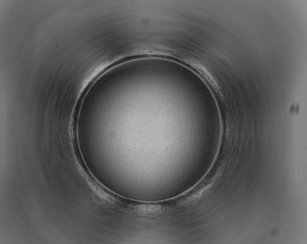 X0000090770893200708031650