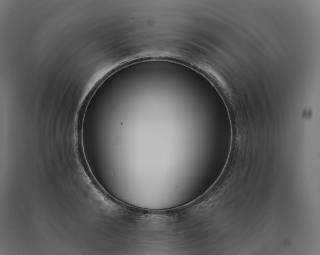 X0000090770894200708031650