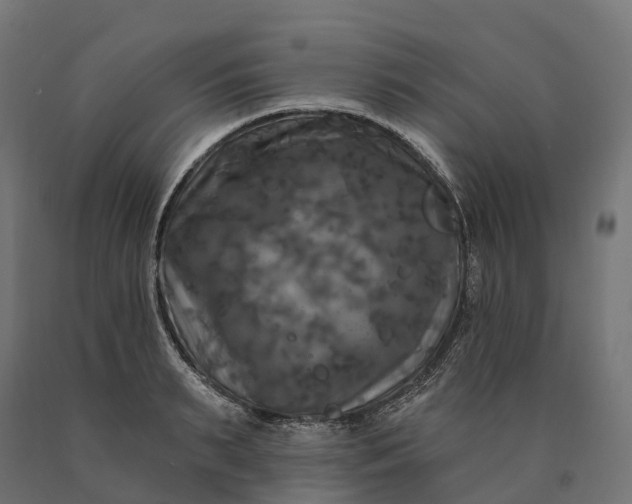 X0000090770895200708031650