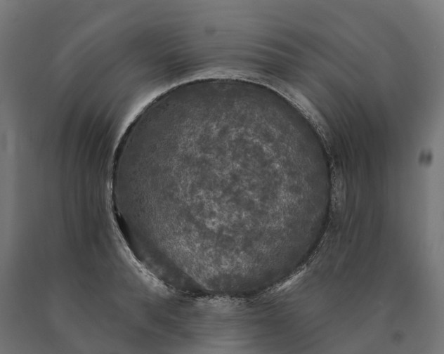 X0000090770896200708031650