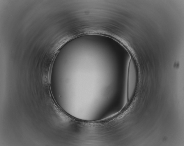 X0000090770897200708031650