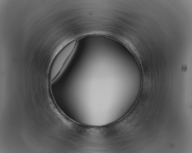 X0000090770898200708031650