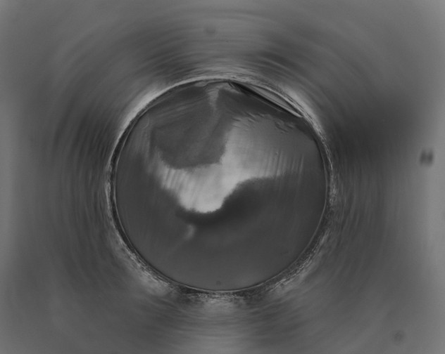 X0000090770899200708031650