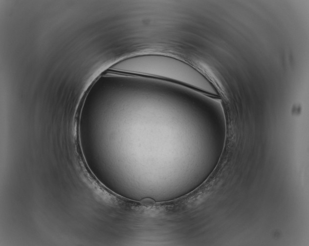 X0000090770900200708031650
