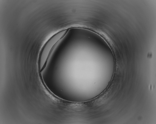 X0000090770902200708031650