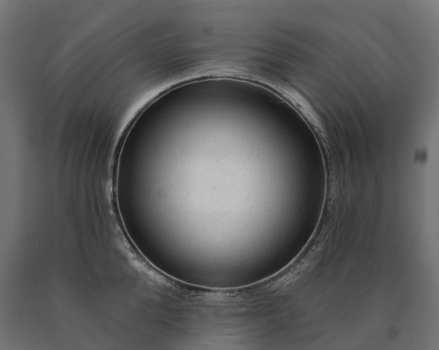 X0000090770904200708031650