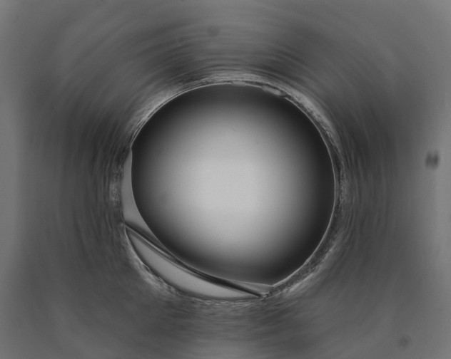 X0000090770905200708031650