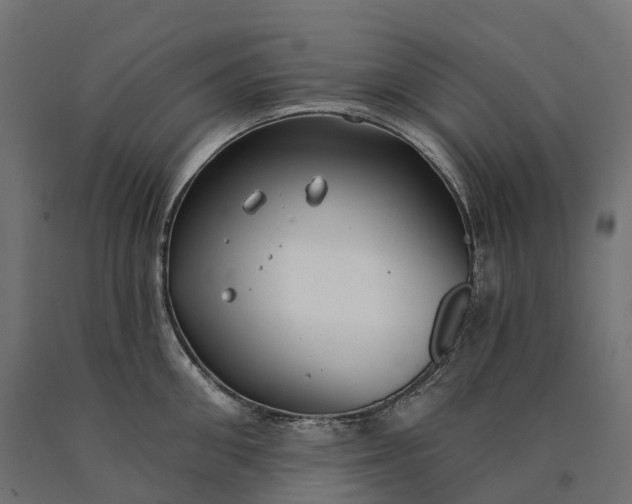X0000090770906200708031650