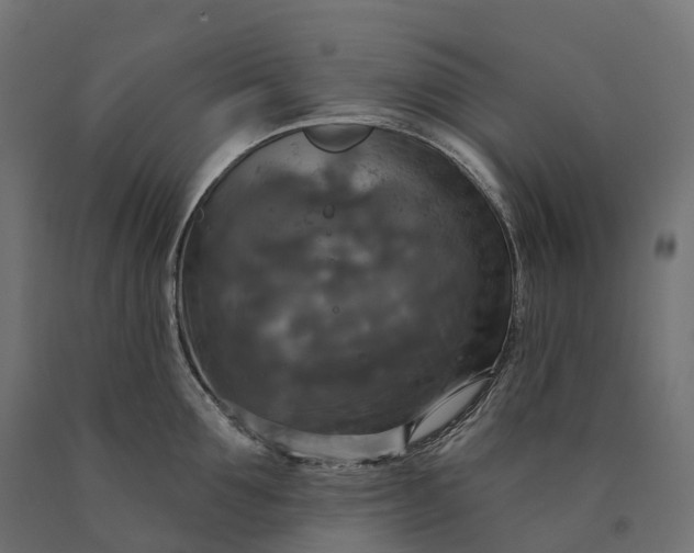 X0000090770907200708031650