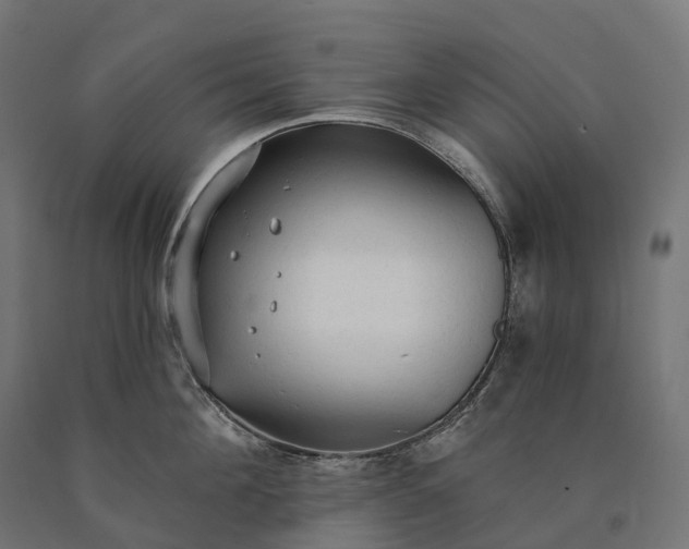 X0000090770908200708031650