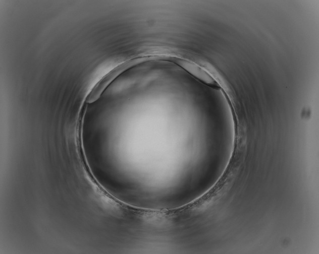 X0000090770909200708031650