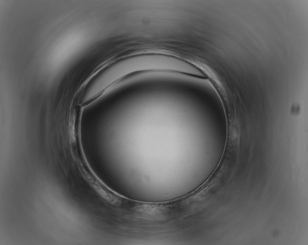 X0000090770910200708031650