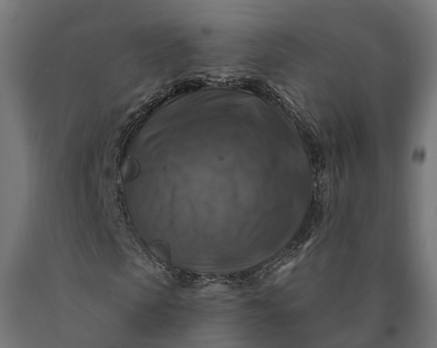 X0000090770913200708031649