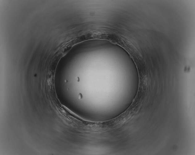 X0000090770914200708031649