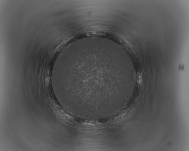 X0000090770915200708031649