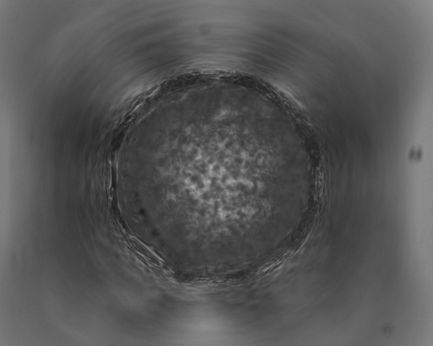 X0000090770917200708031649