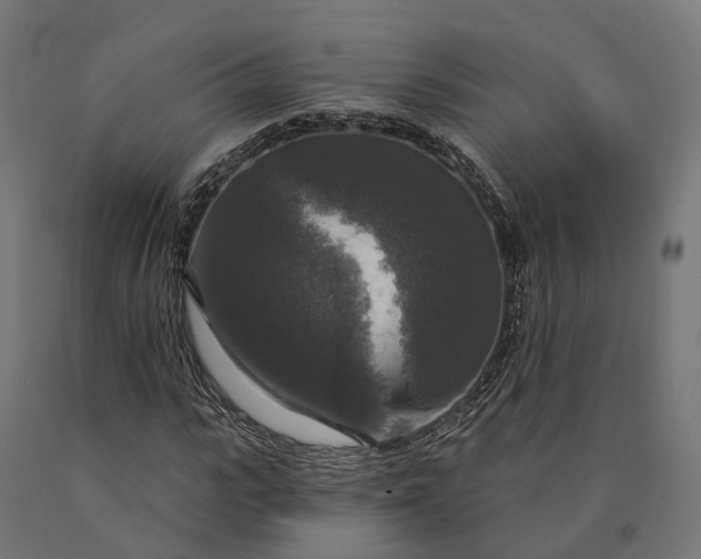 X0000090770919200708031649