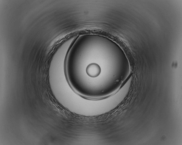 X0000090770920200708031649