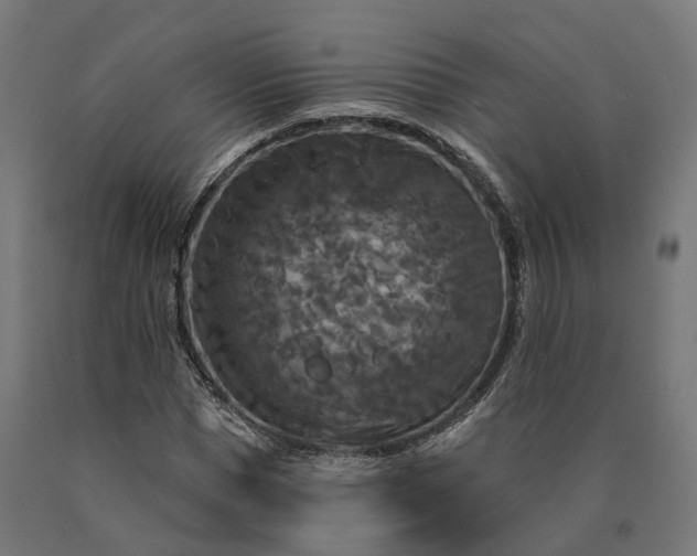 X0000090770921200708031649